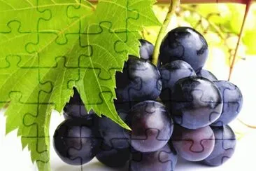 MARSU jigsaw puzzle