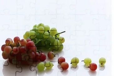 MARSU jigsaw puzzle