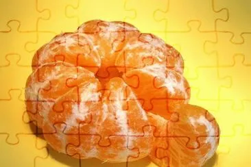 MARSU jigsaw puzzle