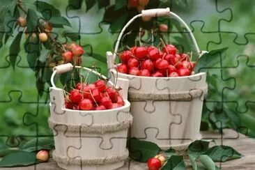 MARSU jigsaw puzzle