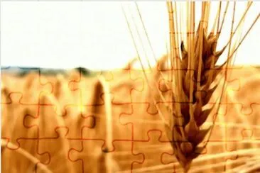 MARSU jigsaw puzzle