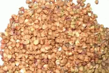 MARSU jigsaw puzzle