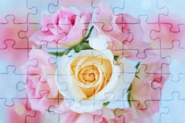 MARSU jigsaw puzzle