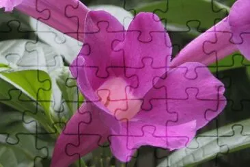 MARSU jigsaw puzzle