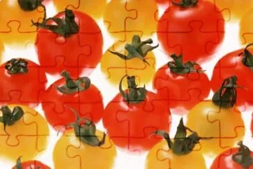 MARSU jigsaw puzzle