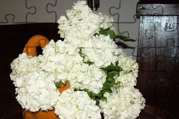 Flors jigsaw puzzle