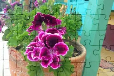 flor exit jigsaw puzzle