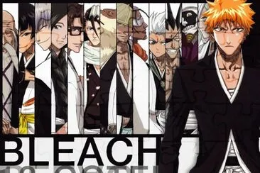 gotei 13 jigsaw puzzle