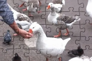 MARSU jigsaw puzzle