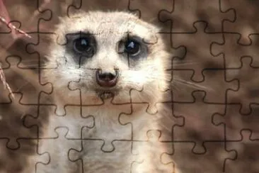 MARSU jigsaw puzzle