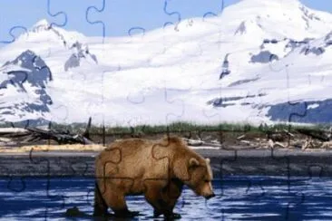 mar11 jigsaw puzzle
