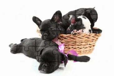 MARSU jigsaw puzzle