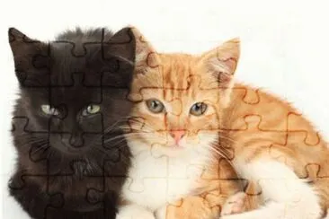 MARSU jigsaw puzzle