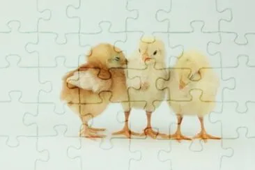 MARSU jigsaw puzzle