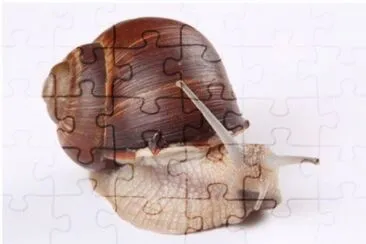 MARSU jigsaw puzzle
