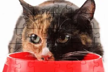 MARSU jigsaw puzzle