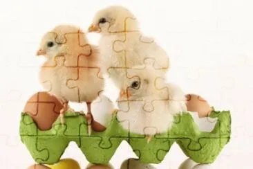 MARSU jigsaw puzzle