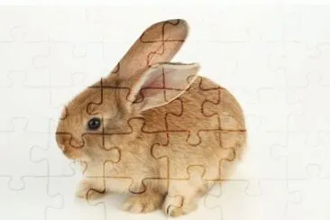 MARSU jigsaw puzzle