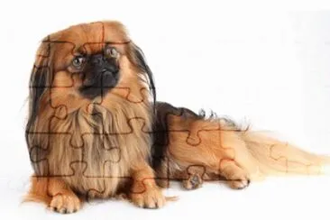 MARSU jigsaw puzzle
