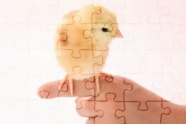 MARSU jigsaw puzzle