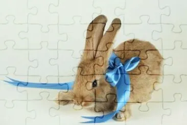 MARSU jigsaw puzzle