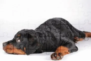 MARSU jigsaw puzzle