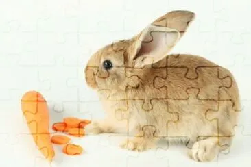 MARSU jigsaw puzzle