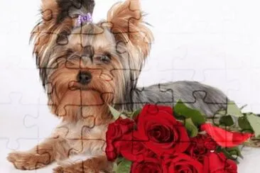 MARSU jigsaw puzzle