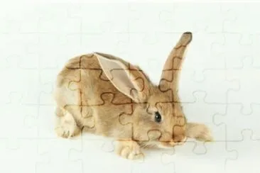 MARSU jigsaw puzzle