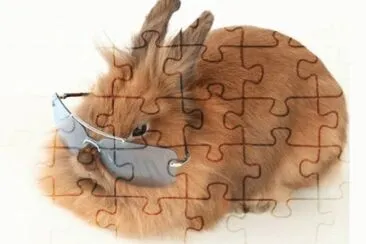MARSU jigsaw puzzle
