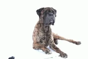 MARSU jigsaw puzzle