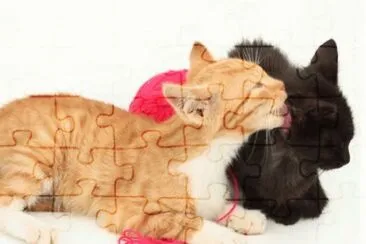 MARSU jigsaw puzzle