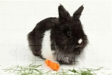 MARSU jigsaw puzzle