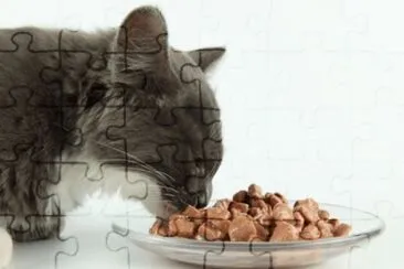 MARSU jigsaw puzzle