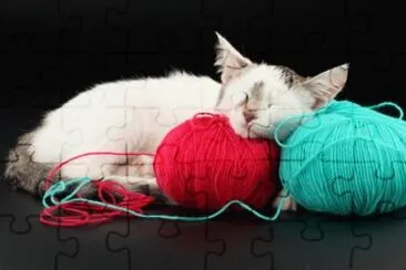 MARSU jigsaw puzzle