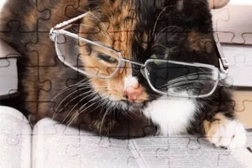 MARSU jigsaw puzzle