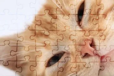 MARSU jigsaw puzzle