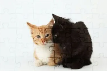 MARSU jigsaw puzzle