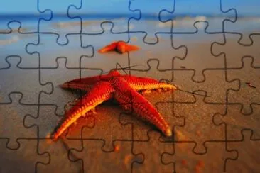hh jigsaw puzzle