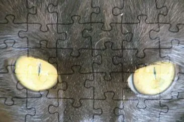 Cats Eyes jigsaw puzzle