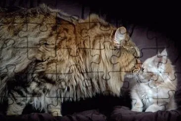 MARSU jigsaw puzzle