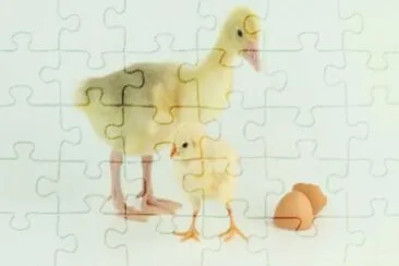 MARSU jigsaw puzzle