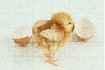 MARSU jigsaw puzzle