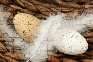 MARSU jigsaw puzzle
