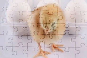 MARSU jigsaw puzzle