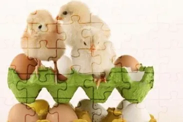 MARSU jigsaw puzzle