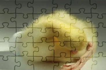 MARSU jigsaw puzzle