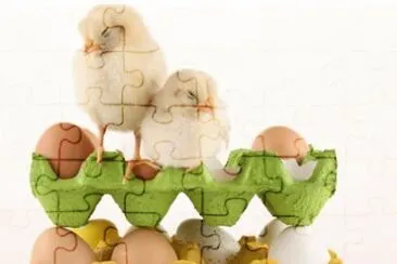 MARSU jigsaw puzzle