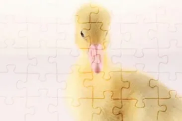 MARSU jigsaw puzzle
