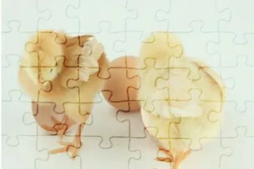 MARSU jigsaw puzzle
